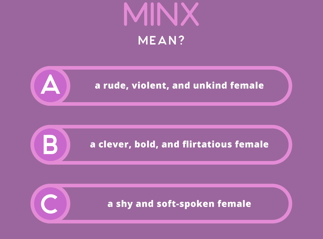 what does the word MINX mean?
