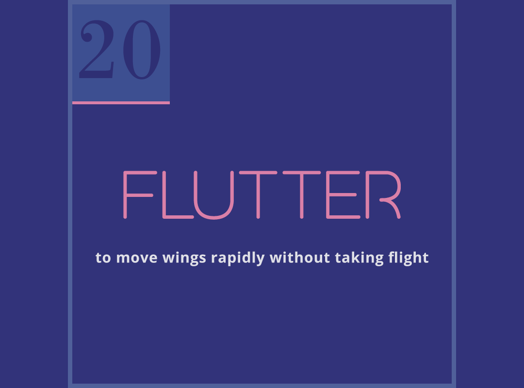 NaNoWriMo 2021 Daily Writing Prompt, Day 20: Flutter