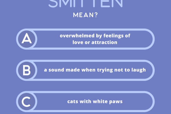what does the word SMITTEN mean?